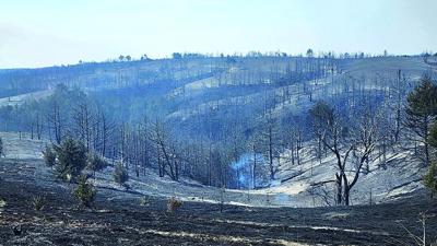 Disaster Relief Fund PIC 0730unl