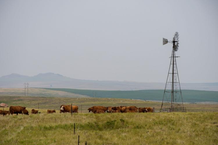 How mentors help North Dakota's landowners manage their land through