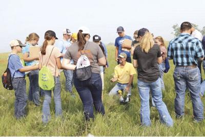 Rangeland and Soils Days