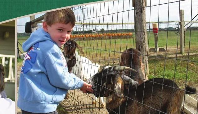 Agricultural Safety for Kids