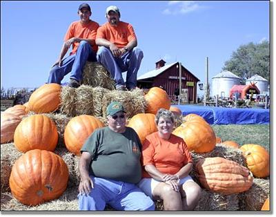 Small patch keeps family farming full time 