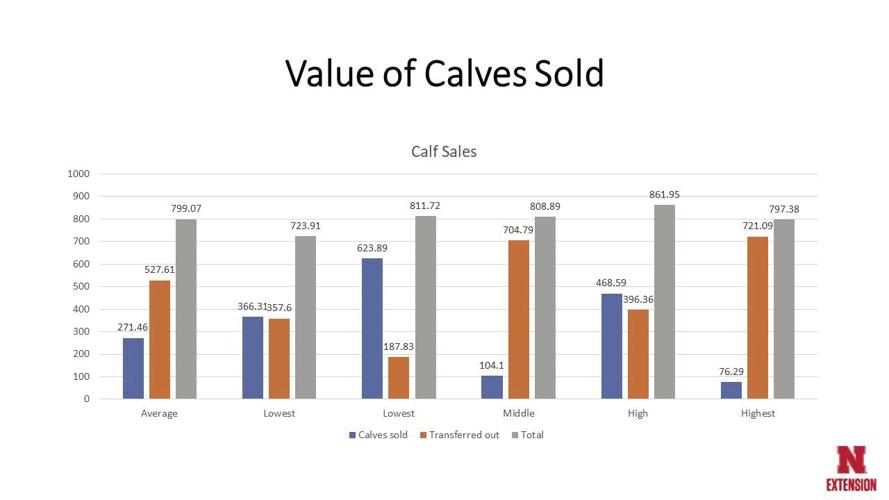Cattle benchmarking 2.jpg