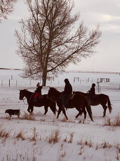 Brunner ranch fares well during cold snap