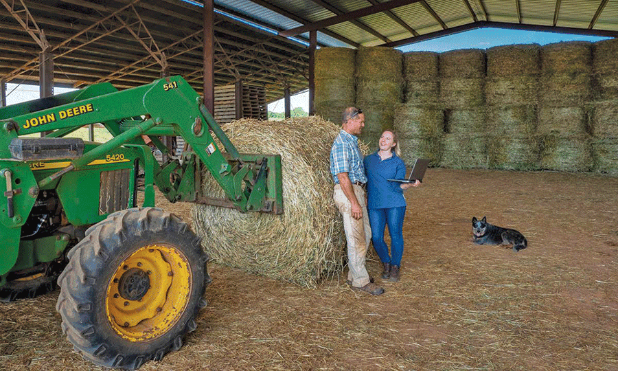 Good records boost cowcalf management