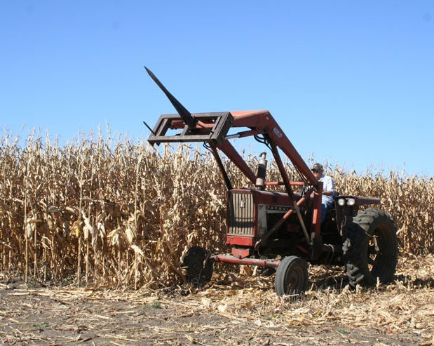 Corn picking tractor