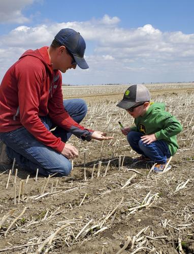 Jake Leguee examines lentil seedlings with his son Asher, 6