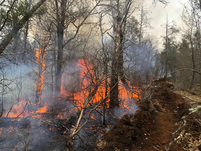 Wildfire