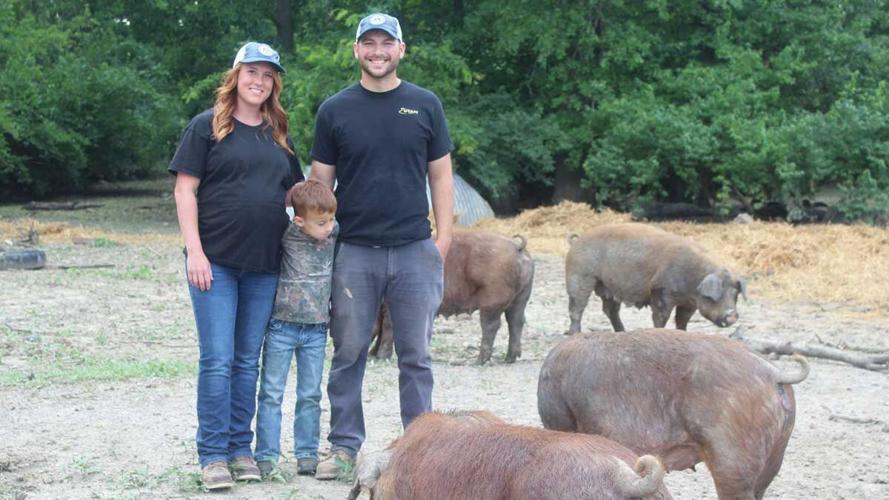 Laird pasture pigs