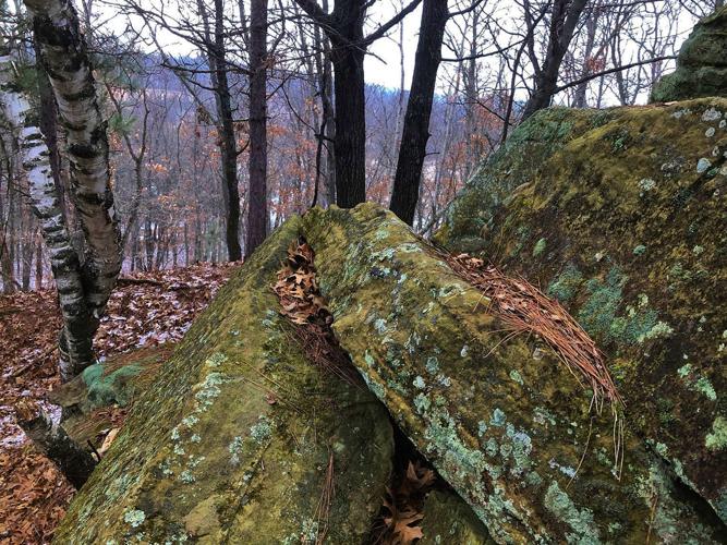 Carvings from years ago are lost after a shelf collapsed on Pine Bluff.