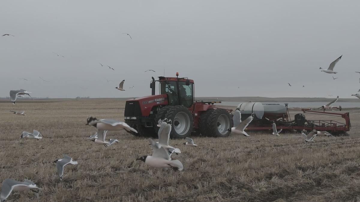 Crop Watcher Briggs (27).jpg