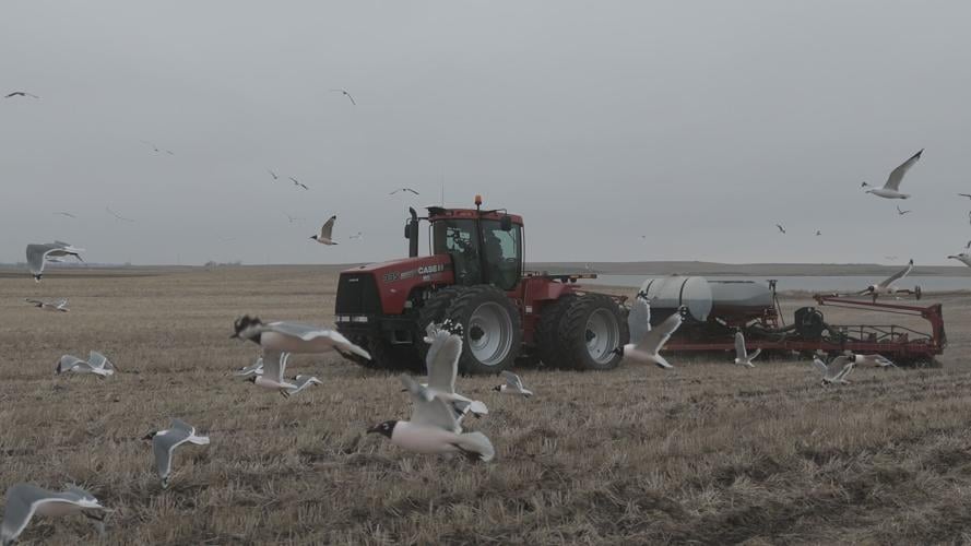 Crop Watcher Briggs (27).jpg