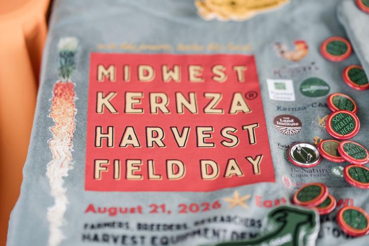 Kernza Field Day