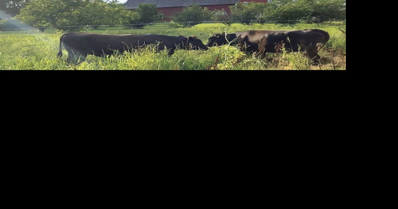 Wellman family blessed tenfold by agricultural community