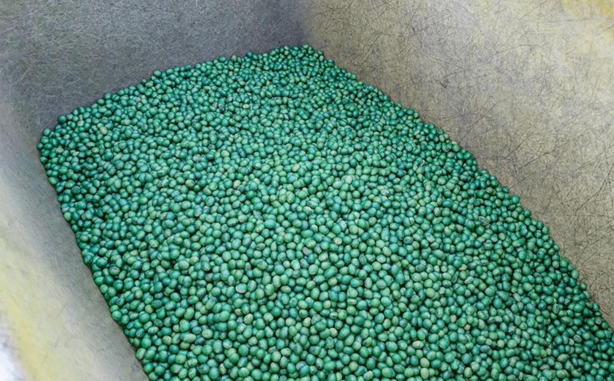 Treated seeds