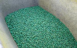 Treated seeds