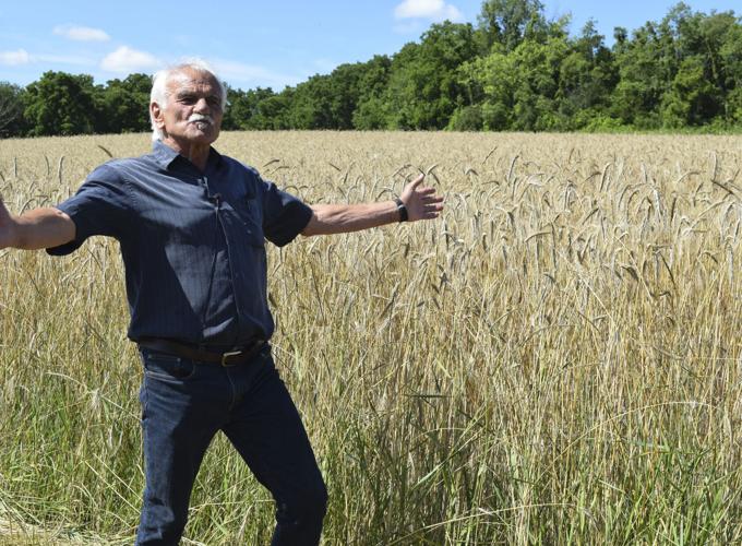 Gary Zimmer in rye field