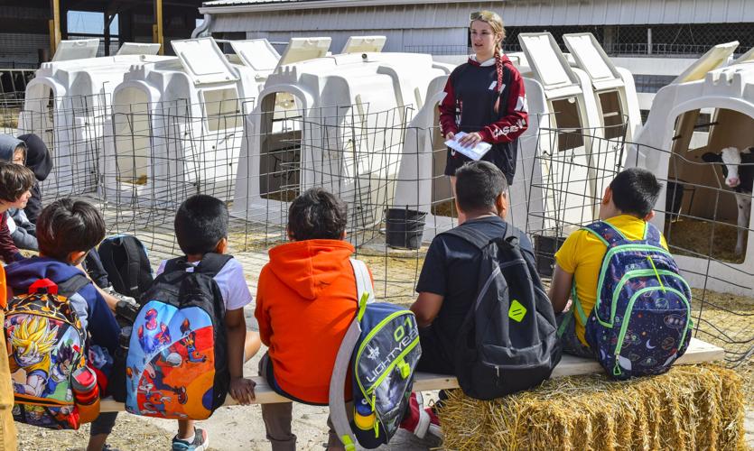 Natalie Kieffer talking to kids about calves