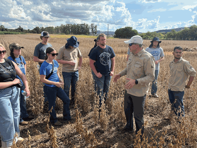 college kids to brazil