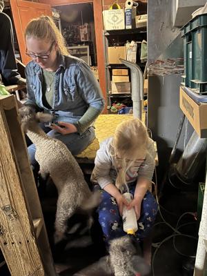 Down on the Farm 2.jpeg