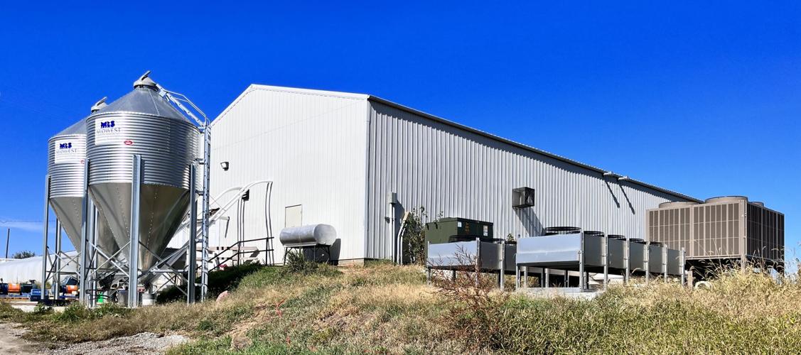 NE Vegetable and Protein 4.JPG