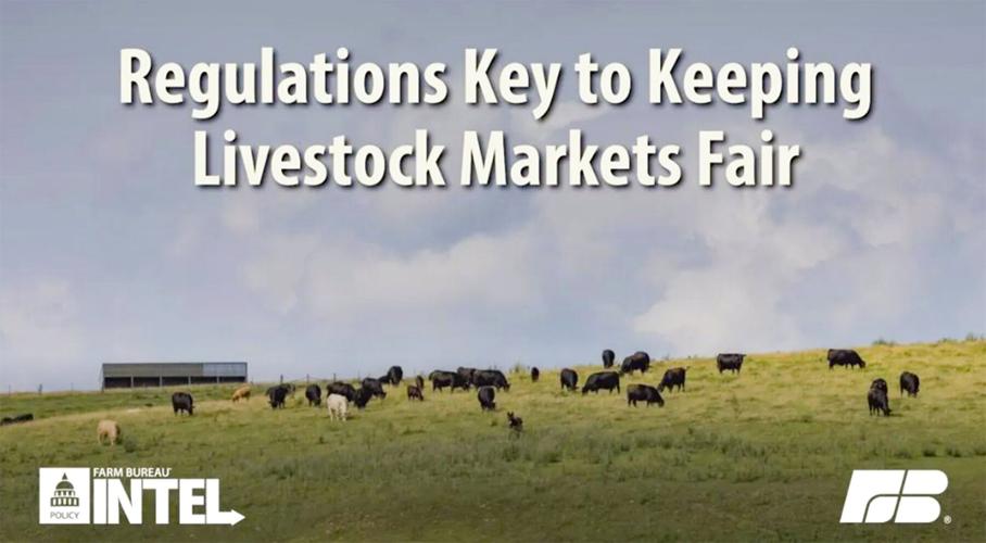 Regulations key to fair markets