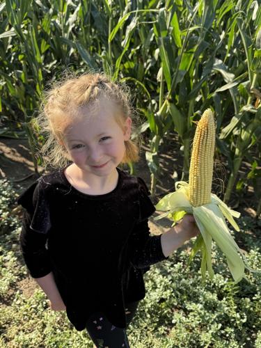 CW Holzwarth (3).jpg