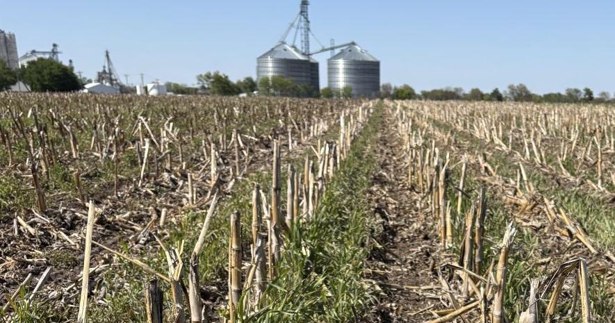 Producer Progress Report Farmers wrap up planting, wait for rain May 18, 2026 6 mins ago