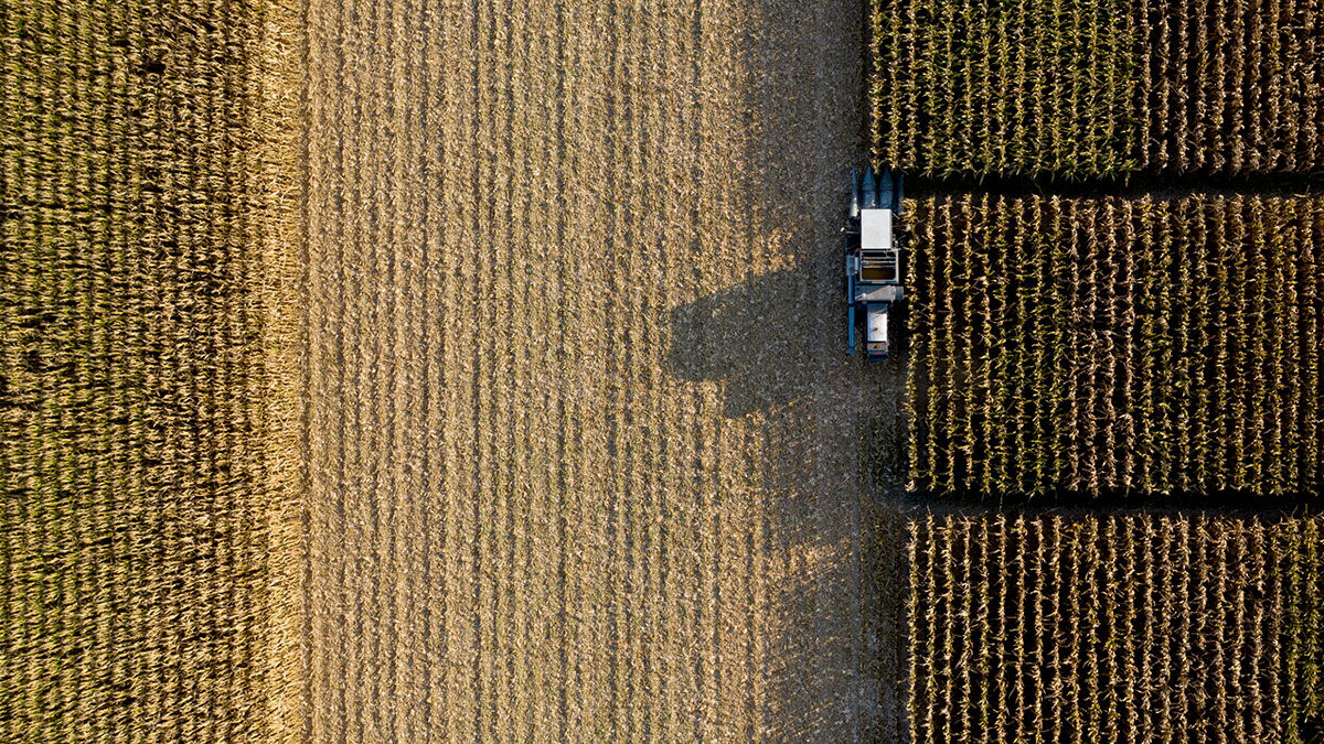 FIRST field test plots overhead
