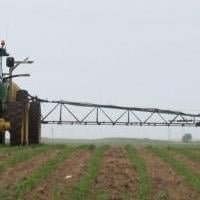 BASF rep urges scouting to evaluate herbicide program effectiveness