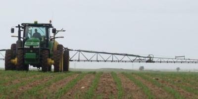 Weed spraying time