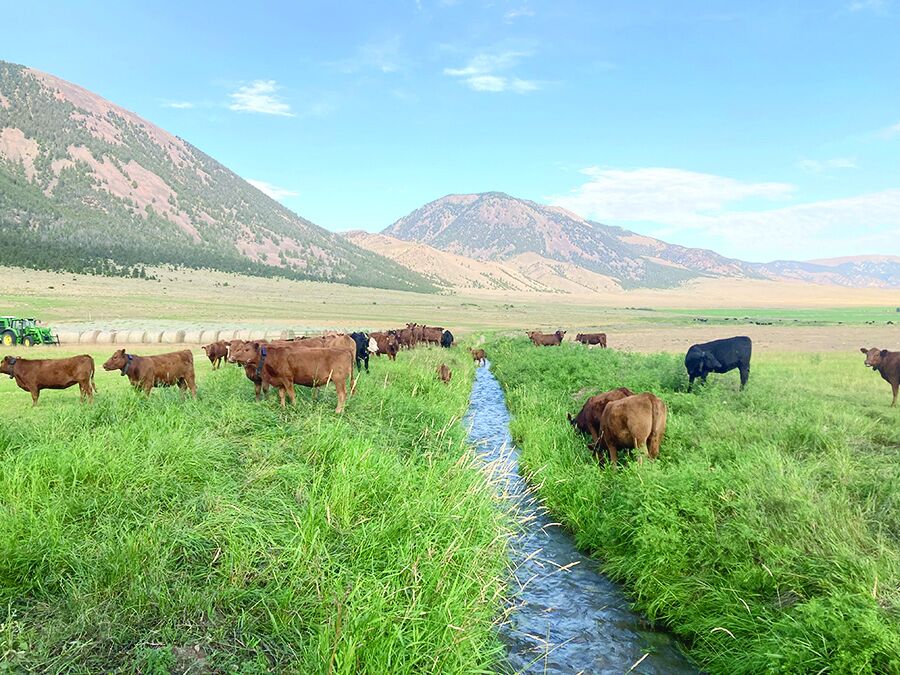 Sagebrush Partnership