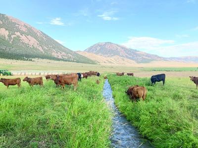 Sagebrush Partnership