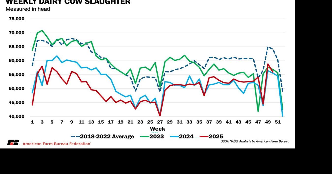 021926-agrv-mark-munch-2.pdf