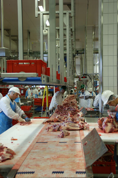 Meat processing plant