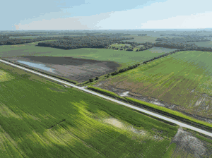 wider-view-Hillebo-frm-flood3.gif