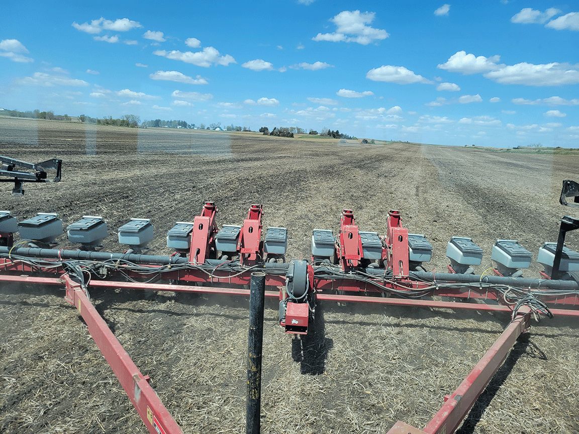 Dave Struthers planting