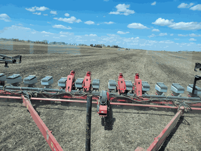 Dave Struthers planting