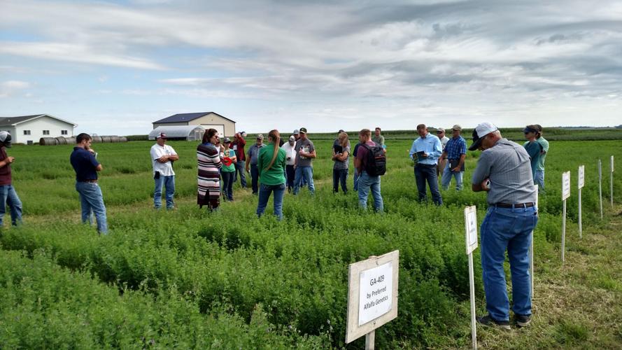 Winter grazing strategies 4.jpg