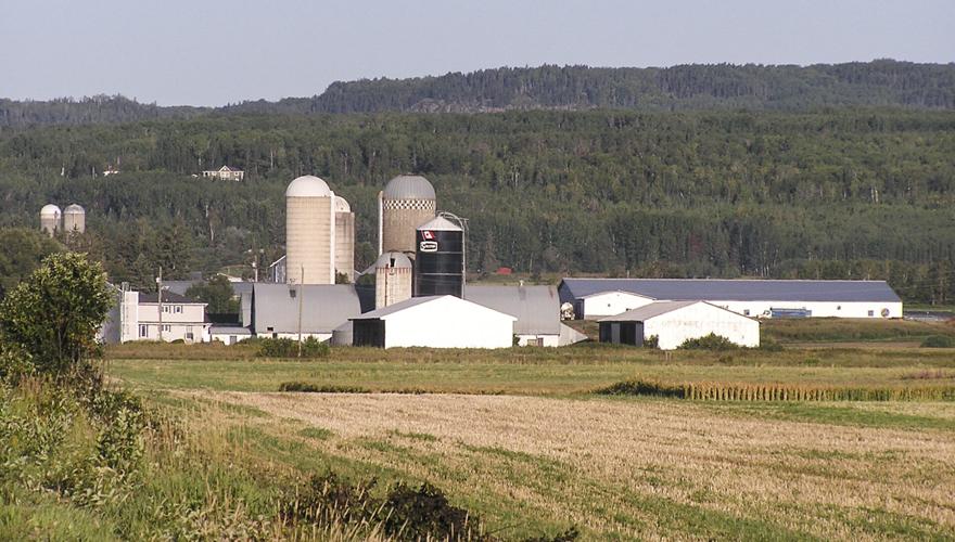 Fields