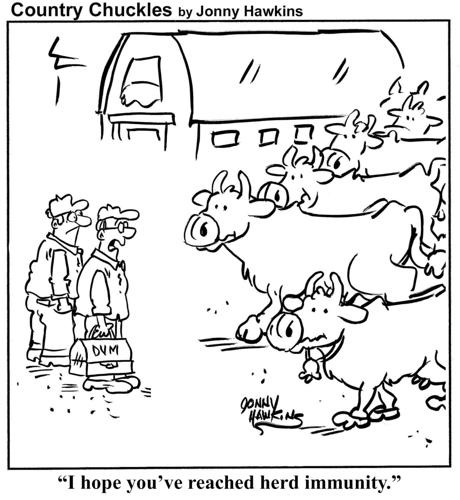 Country Chuckles by Jonny Hawkins