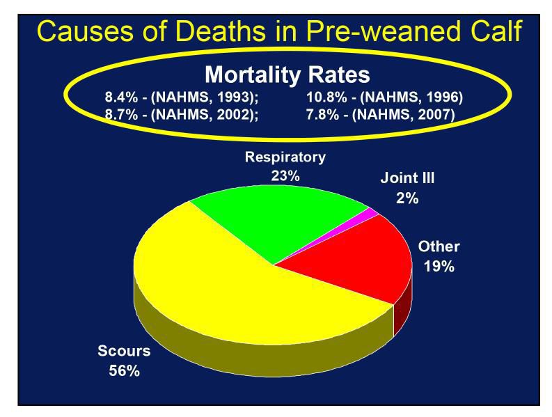 Causes of Death in Pre-weaned Calf