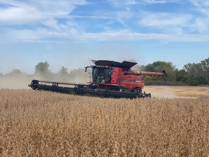 Case combine soybeans
