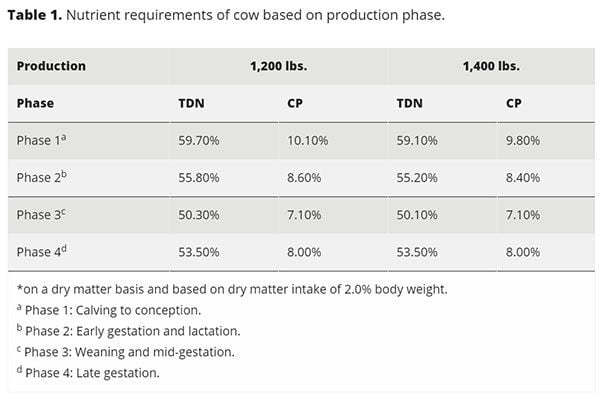 Time to condition score the cow herd