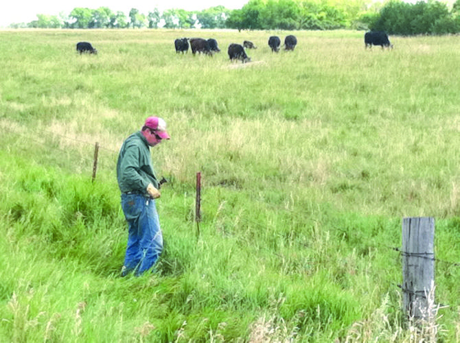 Hadricks and Social Media