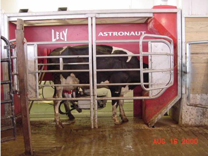Roboticmilking size advances