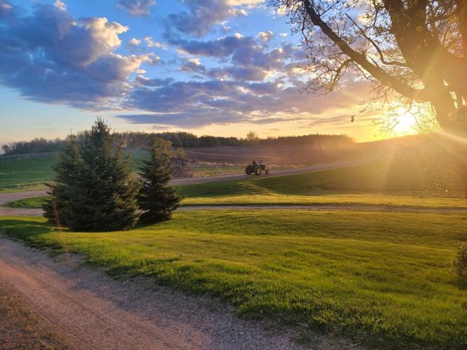 Lallemand Grant  (3).JPG