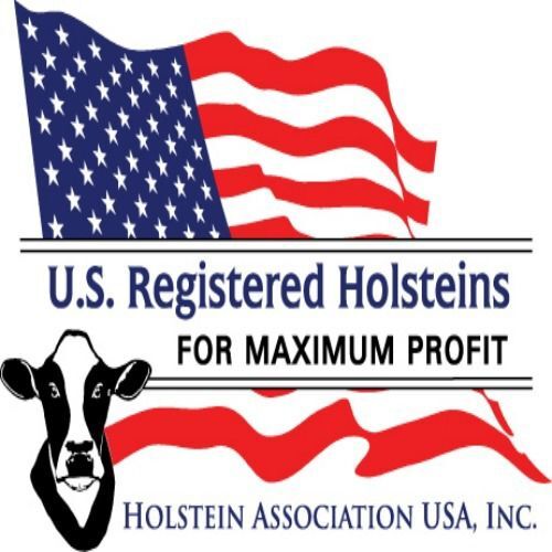 Holstein pedigreeanalysis available online