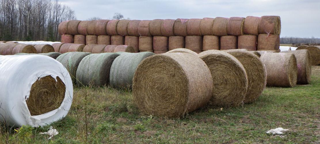 Hay bales