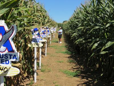 Augusta Seed founder/owner Dennis Rawley