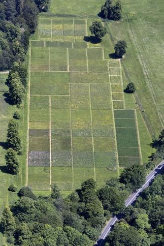 Aerial view of Park Grass